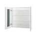 Leandra White Bathroom Vanity Mirror with Cabinet