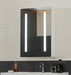 Valerio White Single-Door LED Bathroom Wall Cabinet Mirror