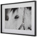 Eye of the Beholder Framed Print