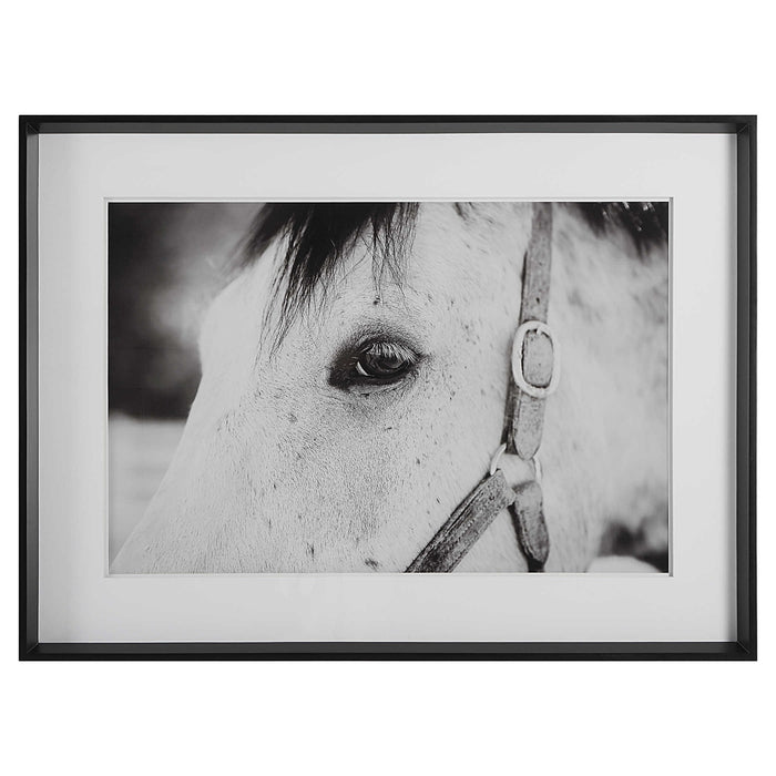 Eye of the Beholder Framed Print