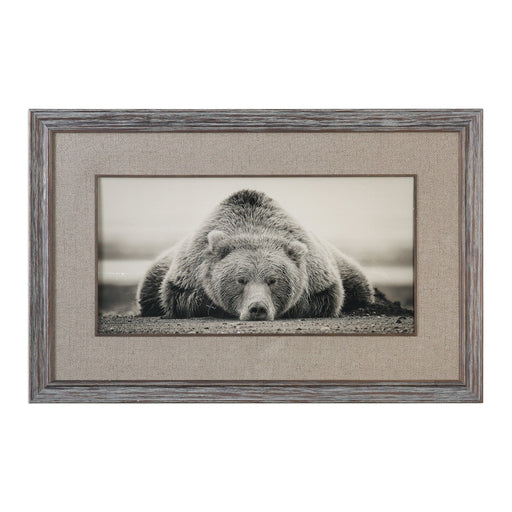 Uttermost Deep Sleep Bear Print - SHINE MIRRORS AUSTRALIA