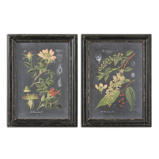 Uttermost Midnight Botanicals Wall Art Set Of 2 - SHINE MIRRORS AUSTRALIA