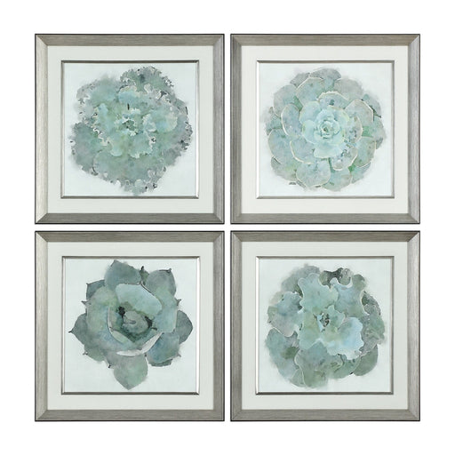 Uttermost Natural Beauties Botanical Prints Set Of 4 - SHINE MIRRORS AUSTRALIA